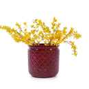 3 Pieces Ceramic Flowerpot, Planter For Patio & Garden Or Windowsills - Bean Paste Red