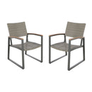 Aresha - Outdoor Dining Armchair (Set of 2) - Gray