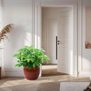 3 Pieces Ceramic Flowerpot, Planter For Patio, Garden Or Windowsills