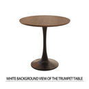 Round Dining Table Set With Tulip Design And 2 Chairs