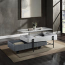 Wilkins - Coffee Table With Lift Top - Gray & White High Gloss