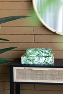 Botanical And Book Boxes (Set of 2) - White / Green
