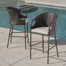 Outdoor 31" Rattan Barstools With Waterproof Cushions (Set of 2) - Multi Brown