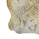 Resin Turkey With Pumpkin Rustic, For Harvest Festival Fall Festival & Thanksgiving Table Decorations (Set of 2) - Gray