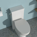 Modern Ceramic 1 Piece Toilet With Soft Closing Seat - White