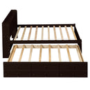 Twin Bed with Bookcase,Twin Trundle,Drawers,Espresso