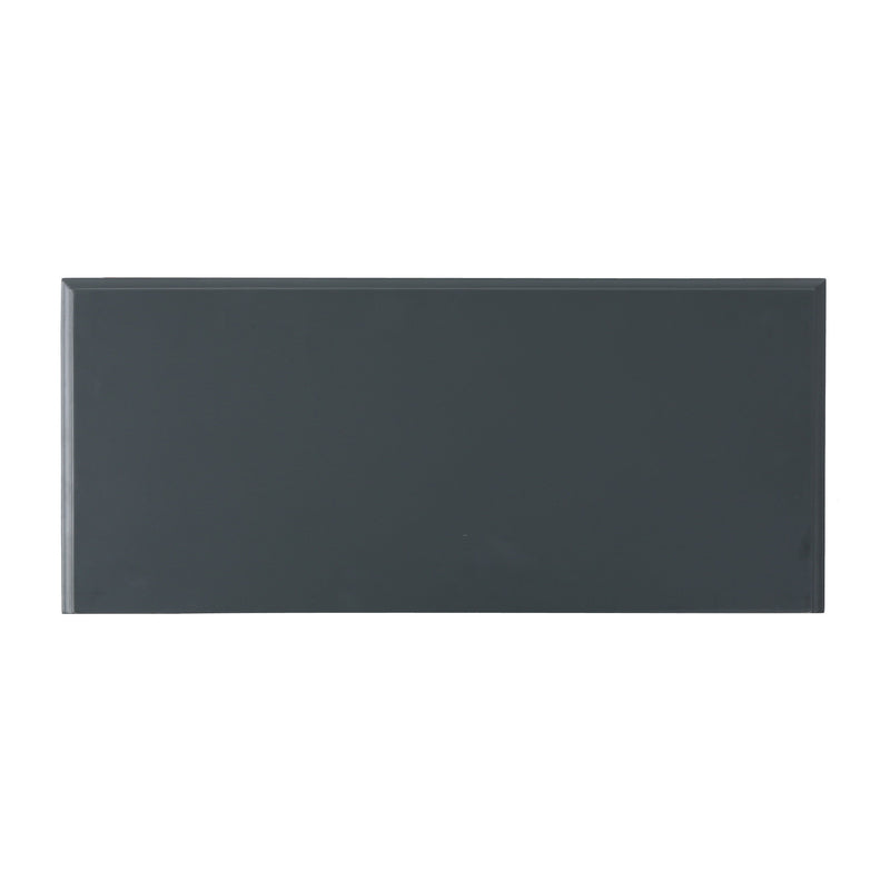 Firwood Mirror Finished Double Door Cabinet - Charcoal Gray