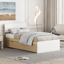 Modern Twin Bed Frame With Trundle For White High Gloss Headboard and Footboard With Light Oak Color