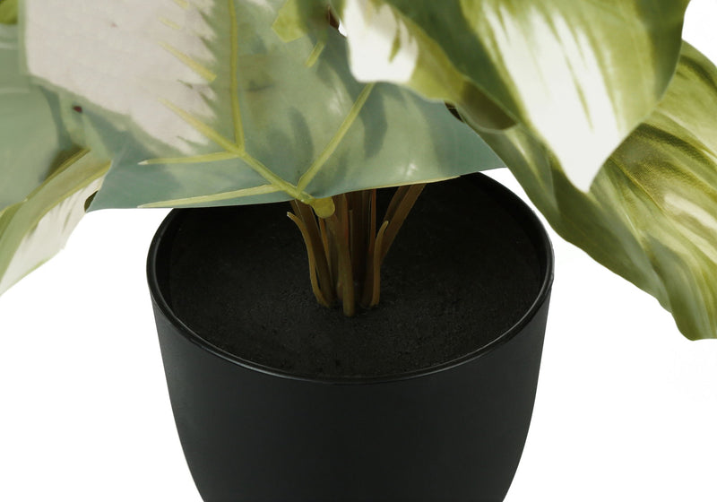 Artificial Plant, 13" Tall, Monstera Calthea, Indoor, Faux, Fake, Table, Greenery, Potted, Decorative (Set of 2) - Green / Black