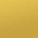 Elsa - 2 Door Wood Storage Accent Cabinet - White And Gold