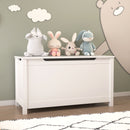 Toy Box Storage With Safety Hinged Lid