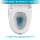 1 Piece Toilet, Dual Flush, Soft Closing Seat - White