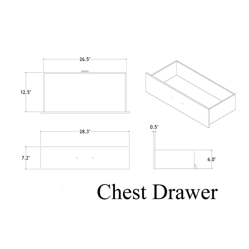 Rover - Chest - Gray