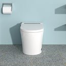 Smart Toilet With Bidet Built In, Auto Open & Close, Elongated Heated Seat, Foot Sensor Flush, LED Display, Warm Water Wash - White