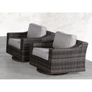 Contemporary Outdoor Swivel Patio Chair With Cushions (Set of 2) - Brown