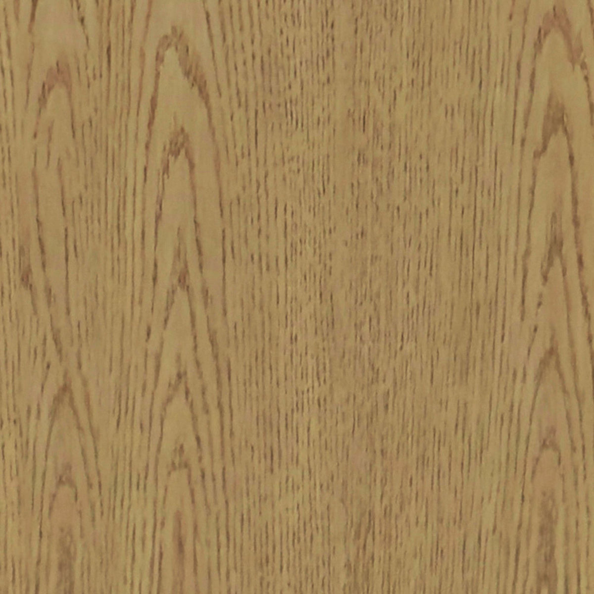 Orion Bookcase in Oak by Elements International, view 8