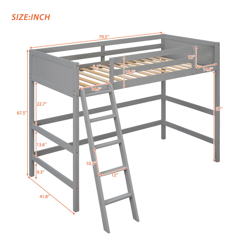 Loft Bed With Ladder