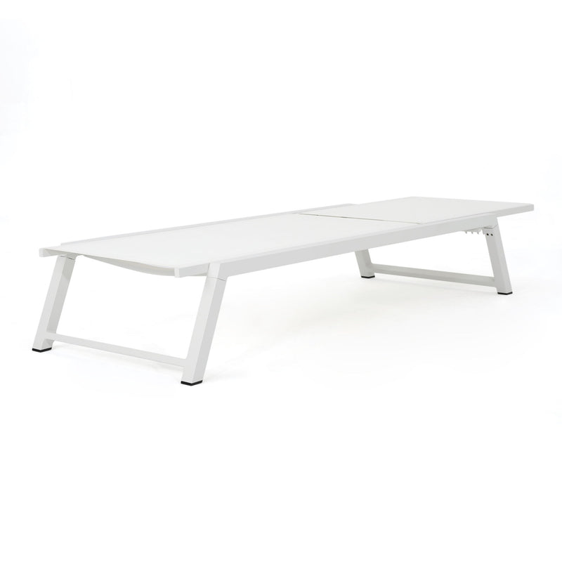 Myers - Modern Chaise Lounge Set With Adjustable Mesh Back