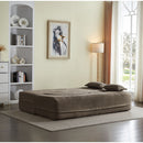 Floor Convertible Sleeper Sofa Bed With 2 Pillows