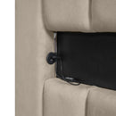 Queen Size Upholstered Platform Bed with LED Headboard and USB, Beige