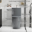 1 Piece Toilet With Tornado Flush, Dual Flush, And ADA Height Comfort Chair