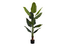 59" Tall, Artificial Plant, Strelitzia Tree, Indoor, Faux, Fake, Floor, Greenery, Potted, Real Touch, Decorative - Green / Black
