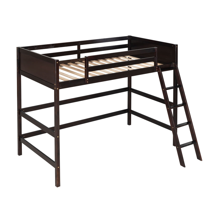 Loft Bed With Ladder