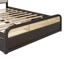 Platform Bed With Trundle And 2 Drawers