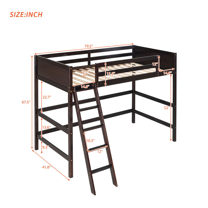 Loft Bed With Ladder