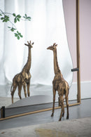 Poppy Mirror With Metal Frame Contemporary Design For Bathroom, Entryway Wall Decor