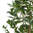 Artificial Laurel Tree