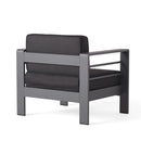 Cape Coral - Club Chair - Dark Gray