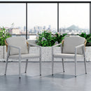 Outdoor Dining Chair (Set of 2) Wicker Rattan Woven Patio Chairs, Waterproof Seating - Gray