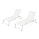 Myers - Modern Chaise Lounge Set With Adjustable Mesh Back