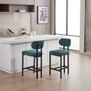 Modern Counter Height Stools (Set of 2)