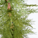 4Ft Pre Lit Artificial Christmas 2 Piece Set - Green