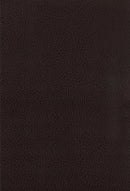 Dewey - Upholstered Counter Chair (Set of 2) - Walnut