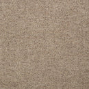 Octavia - Upholstered Track Arm Accent Chair