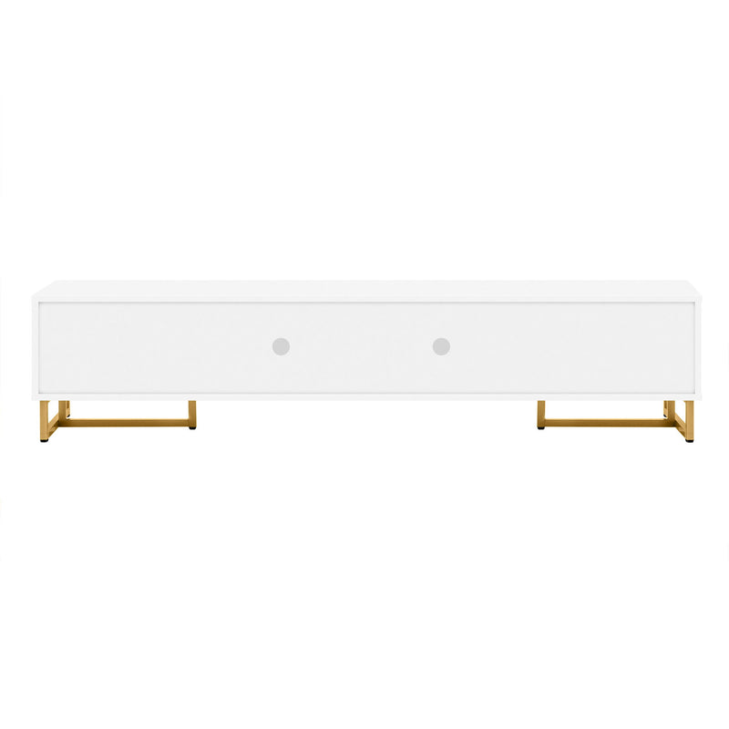 Modern TV Stand With Storage For Living Room