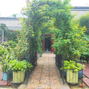 Metal Garden Arch With Two Plant Stands Wide High Climbing Plants Support Rose Arch Outdoor - Black