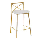 Modern Charlotte - Contemporary Fixed Height Counter Stool (Set of 2)