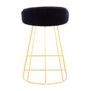 Canary - Contemporary Counter Stool (Set of 2)