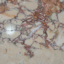 Modern Minimalist Hexagon Side Table