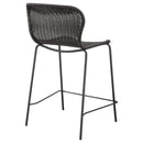 Mckinley - Faux Rattan Metal Chair (Set of 2)