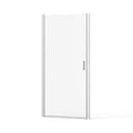 Pivot Shower Door, Tempered Glass, Semi Frameless