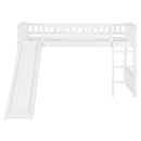 Loft Bed With Slide And Ladder
