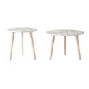 Nature-Inspired Side Tables (Set of 2)