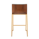 Mason Mara - Contemporary Design Fixed Height Counter Stool (Set of 2)