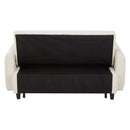 Pull-Out 2 Seat Modern Sleeper Sofa With 2 Throw Pillows And USB Ports