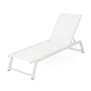 Myers - Modern Chaise Lounge Set With Adjustable Mesh Back